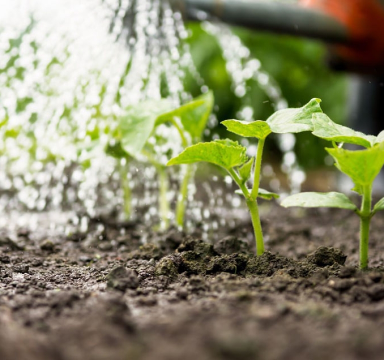 Optimizing Water Consumption in Agriculture