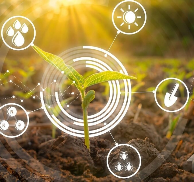 The Impact of IoT on Agricultural Irrigation