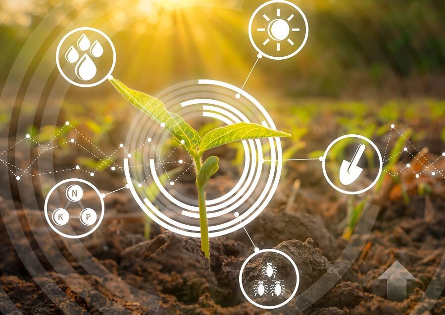 The Impact of IoT on Agricultural Irrigation